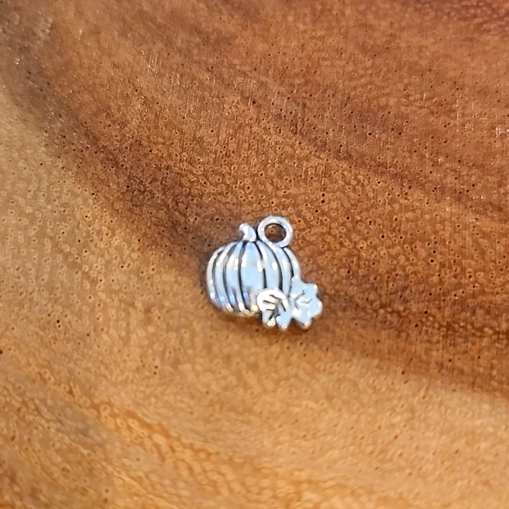 CELLPHONE ACCESSORIES/ NWOT - Picture 6 of 8